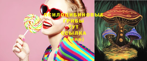 мяу мяу мука Абаза