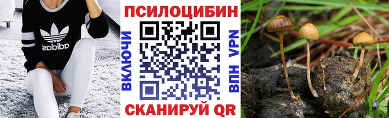 Галлюциногенные грибы Cubensis  сколько стоит  Кандалакша 